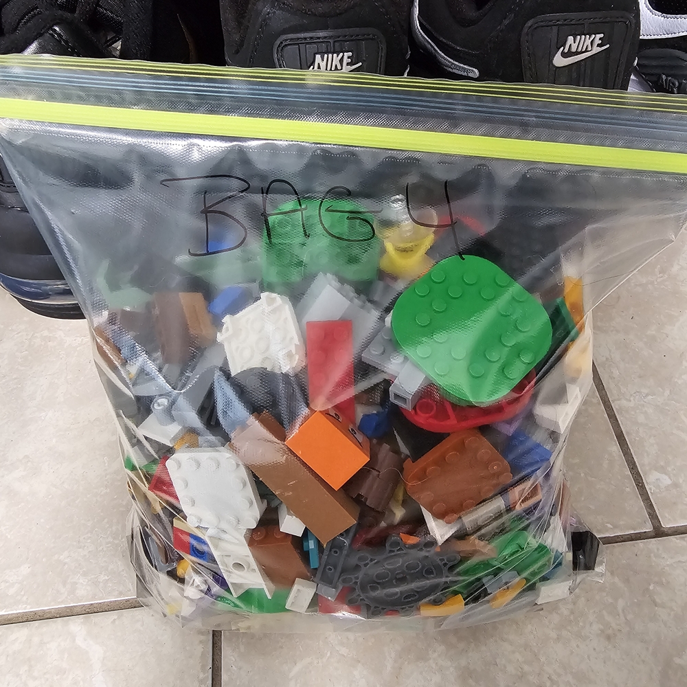Assorted Building Blocks in Clear Zip Bag